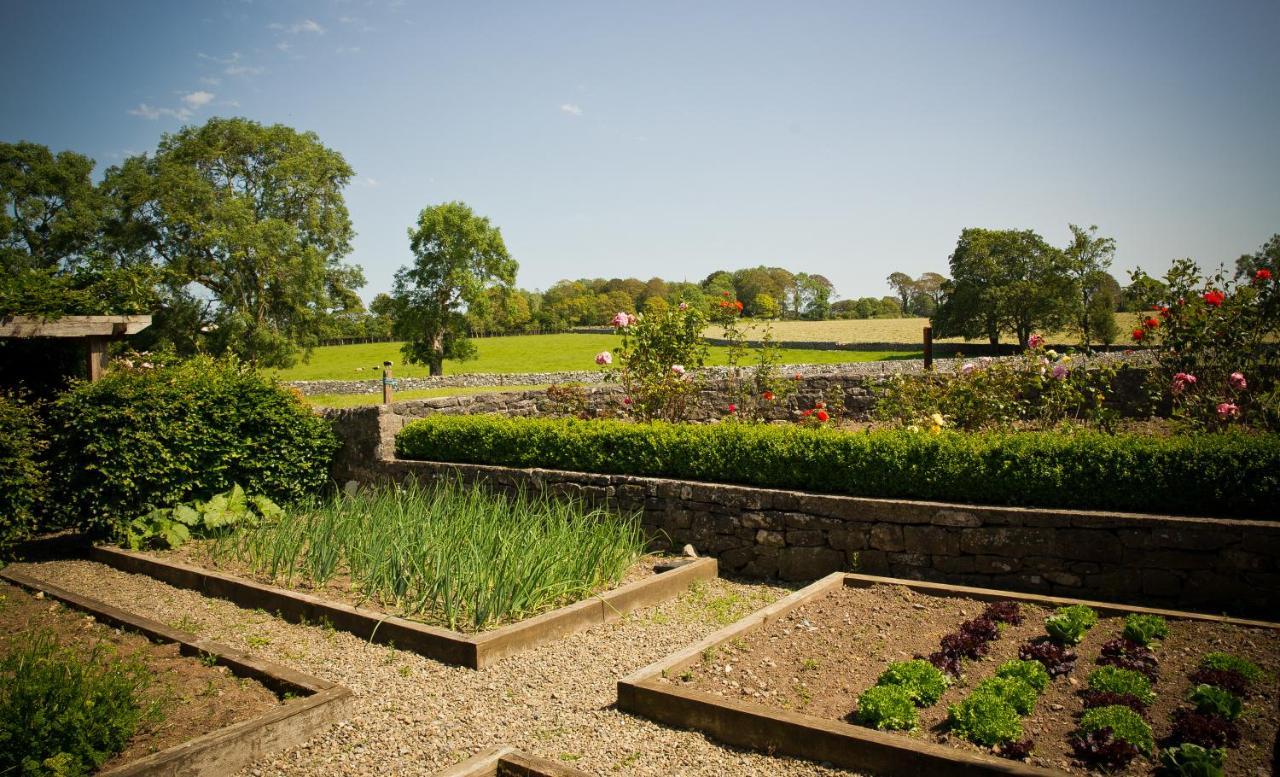 Cahergal Farmhouse B&B Newmarket-on-Fergus エクステリア 写真