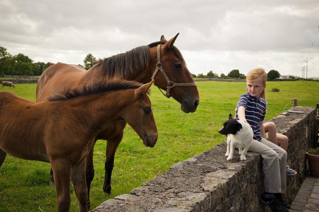 Cahergal Farmhouse B&B Newmarket-on-Fergus エクステリア 写真