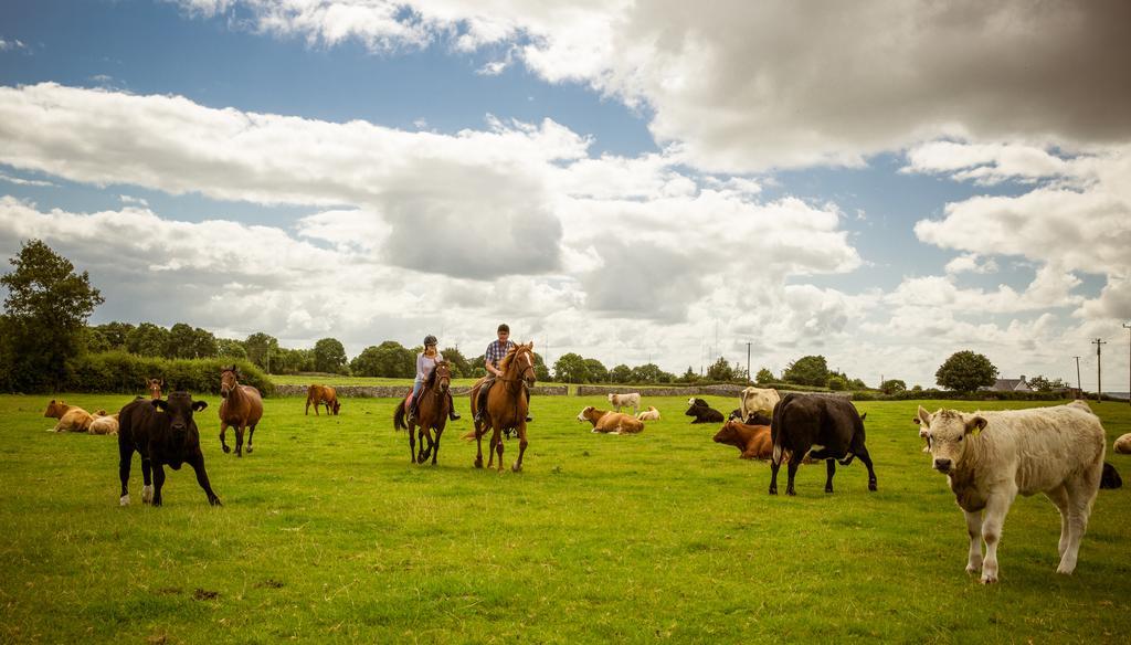 Cahergal Farmhouse B&B Newmarket-on-Fergus エクステリア 写真