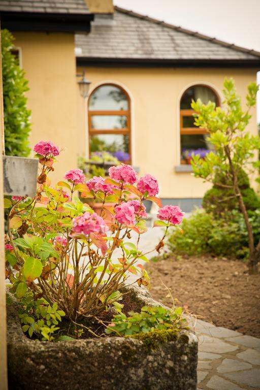 Cahergal Farmhouse B&B Newmarket-on-Fergus エクステリア 写真