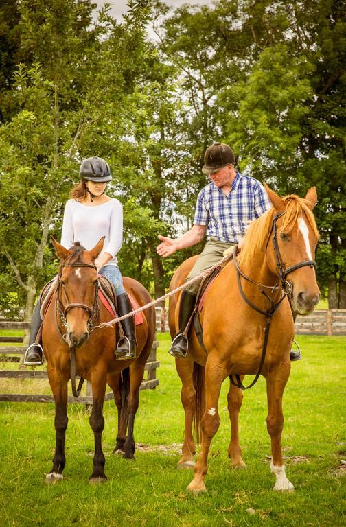 Cahergal Farmhouse B&B Newmarket-on-Fergus エクステリア 写真