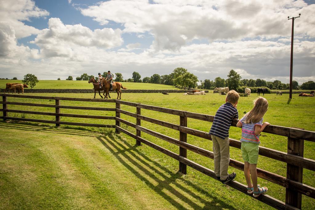 Cahergal Farmhouse B&B Newmarket-on-Fergus エクステリア 写真