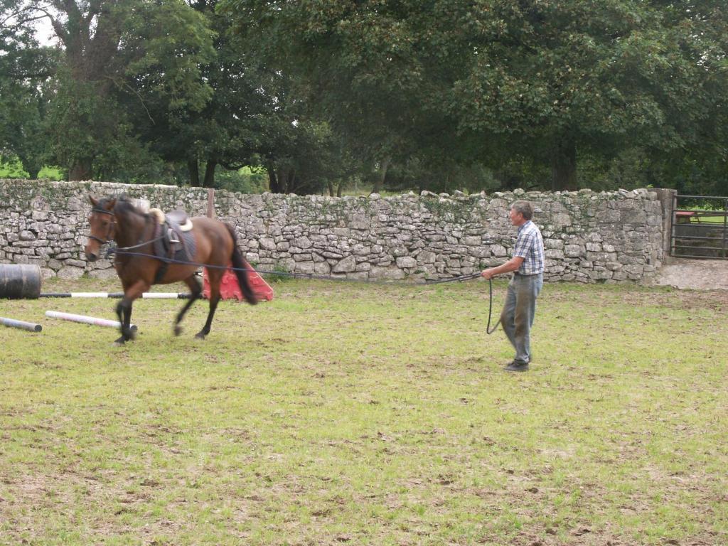 Cahergal Farmhouse B&B Newmarket-on-Fergus エクステリア 写真